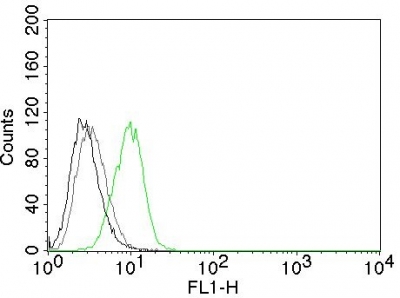 Flow Cytometry of human p27 on HeLa Cells. Black: Cells alone; Grey: Isotype Control; Green: AF488-labeled p27 Monoclonal Antibody (DCS-72.F6).