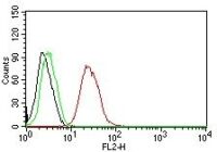 Flow Cytometry for human ER-beta on MCF-7 Cells. Black: Cells alone; Green: Isotype Control; Red: PE-labeled ER-beta1 Monoclonal Antibody (ESR2/686).