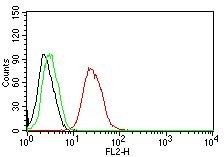 Flow Cytometry for human ER-beta on MCF-7 Cells. Black: Cells alone; Green: Isotype Control; Red: PE-labeled ER-beta1 Monoclonal Antibody (ESR2/686).