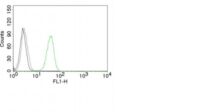 Flow Cytometry of human CD31 on Jurkat Cells.Black: Cells alone; Green: Isotype Control; Red: AF488-labeled CD31 Monoclonal Antibody (C31.3).