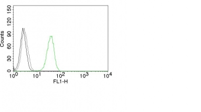 Flow Cytometry of human CD31 on Jurkat Cells.Black: Cells alone; Green: Isotype Control; Red: AF488-labeled CD31 Monoclonal Antibody (C31.3).