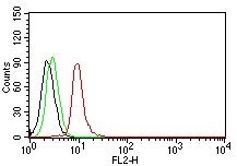 Flow Cytometry of human Cyclin D1 on MCF-7 Cells. Black: Cells alone; Green: Isotype Control; Red: PE-labeled Cyclin D1 Monoclonal Antibody (DCS-6).