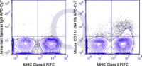 C57Bl/6 splenocytes were stained with FITC Mouse Anti-MHC Class II  and 0.25 ug APC-Cy7 Mouse Anti-CD11c .