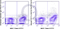 C57Bl/6 splenocytes were stained with Mouse Anti-MHC Class II FITC  and 0.25 ug PerCP-Cy5.5 Mouse Anti-CD11c .