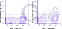 C57Bl/6 splenocytes were stained with FITC Mouse Anti-MHC Class II  and 1 ug PE-Cy7 Mouse Anti-CD11c .