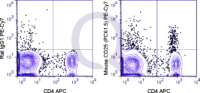 C57Bl/6 splenocytes were stained with APC Mouse Anti-CD4  and 0.125 ug PE-Cy7 Mouse Anti-CD25 .