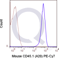 SJL splenocytes were stained with 1 ug PE-Cy7 Mouse Anti-CD45.1 .