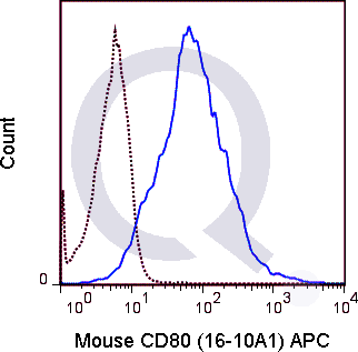 C57Bl/6 splenocytes were stimulated with anti-IgM and anti-CD40 for 4 days. Cells were then stained with 0.06 ug APC Mouse Anti-CD80 (QAB50) (solid line) or 0.06 ug APC Armenian Hamster isotype control (dashed line). Flow Cytometry Data from 10,000 events.