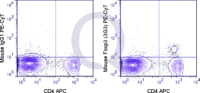 C57Bl/6 splenocytes were stained with APC Mouse Anti-CD4 , followed by intracellular staining with 0.125 ug PE-Cy7 Mouse Anti-Foxp3 .