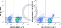 C57Bl/6 bone marrow cells were stained with APC Mouse Anti-CD45R  and 0.5 ug PE Mouse Anti-LPAM-1 (QAB73) (right panel) or 0.5 ug PE Rat IgG2a isotype control (left panel).