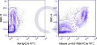 C57Bl/6 bone marrow cells were stained with 0.5 ug FITC Mouse Anti-Ly-6G (QAB77) (right panel) or 0.5 ug FITC Rat IgG2b isotype control (left panel).