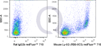 C57Bl/6 bone marrow cells were stained with 0.015 ug Qfluor™ 710 Mouse Anti-Ly-6G (QAB77) (right panel) or 0.015 ug Qfluor™ 710 Rat IgG2b isotype control (left panel).