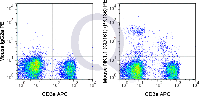 C57Bl/6 splenocytes were stained with APC Mouse Anti-CD3e  and 0.5 ug PE Mouse Anti-NK1.1 (CD161) (QAB78) (right panel) or 0.5 ug PE Mouse IgG2a isotype control (left panel).