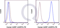 Untransfected  (solid line) or 0.5 ug PE Mouse IgG1 isotype control (dashed line). Flow Cytometry Data from 10,000 events.