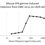 QP4141 IFNG / Interferon Gamma