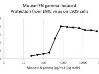 QP4141 IFNG / Interferon Gamma