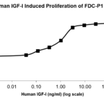 QP5005 IGF1 Isoform 2