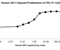 QP5005 IGF1 Isoform 2