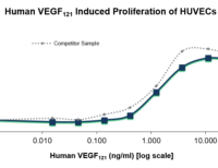 QP5207 VEGF-121 Isoform