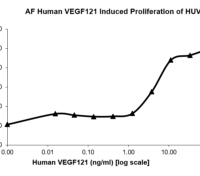 QP5208 VEGF-121 Isoform