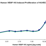 QP5210 VEGF-165 Isoform