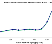 QP5210 VEGF-165 Isoform