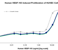 QP5211 VEGF-165 Isoform