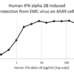 QP5213 Interferon alpha 2b