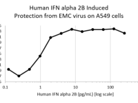 QP5213 Interferon alpha 2b