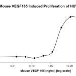 QP5214 VEGF-164 Isoform