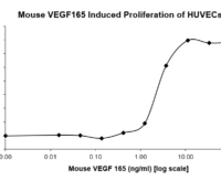 QP5214 VEGF-164 Isoform