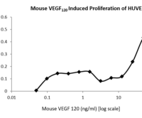 QP5215 VEGF-120