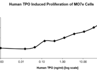 QP5227 Thrombopoietin / THPO