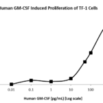 QP5231 GM-CSF / CSF2