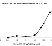 QP5231 GM-CSF / CSF2