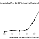 QP5232 GM-CSF / CSF2