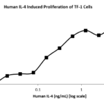 QP5234 IL4 / Interleukin-4