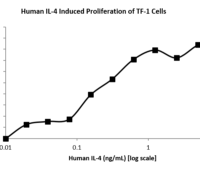 QP5234 IL4 / Interleukin-4