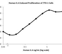 QP5235 IL6 / Interleukin-6