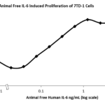 QP5239 IL6 / Interleukin-6