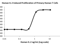 QP5250 IL2 / Interleukin-2