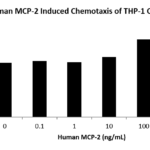 QP5251 CCL8 / MCP-2