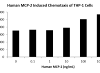 QP5251 CCL8 / MCP-2