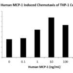 QP5252 CCL2 / MCP-1 / MCP1