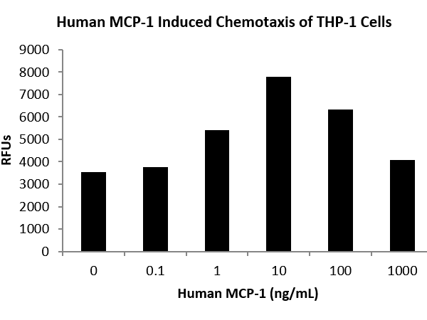 QP5252 CCL2 / MCP-1 / MCP1