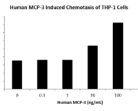 QP5253 MCP-3 / CCL7