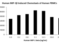 QP5256 CCL4 / MIP1B