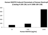 QP5261 CCL5 / RANTES