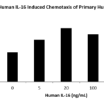 QP5266 IL16 / Interleukin-16