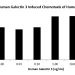 QP5277 Galectin-3 / LGALS3